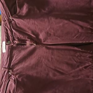 Burgundy Lane Bryant Pants In Great Condition